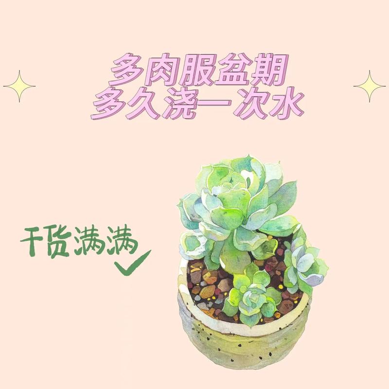 快速服盆 养花小知识 范文模稿