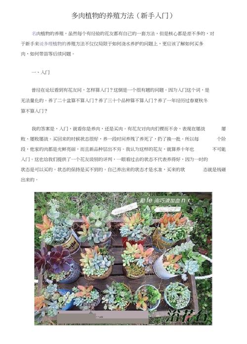多肉之美四季皆是风景浅谈景天科多肉植物的养护方法 范文模稿