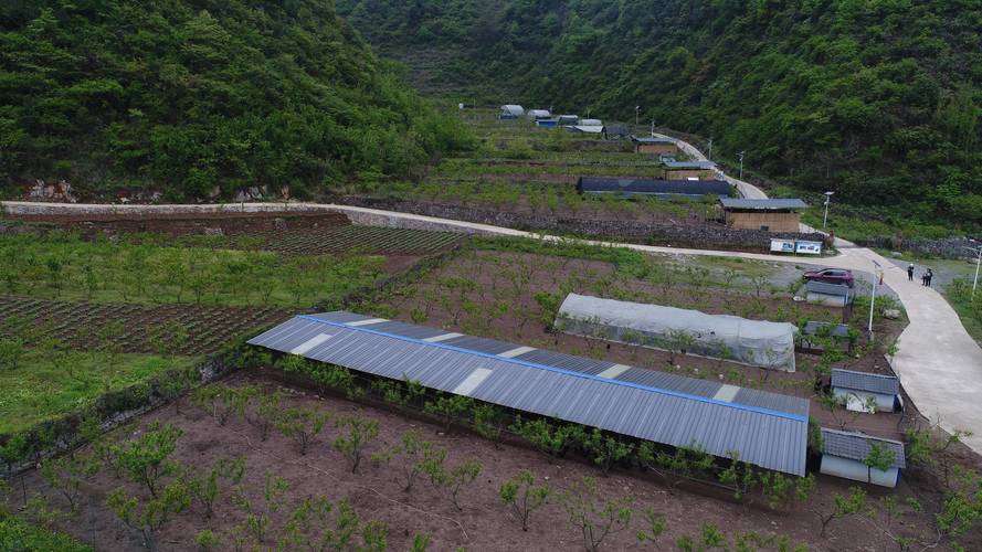 隆安县推行微生物生态养殖惠乡村 范文模稿