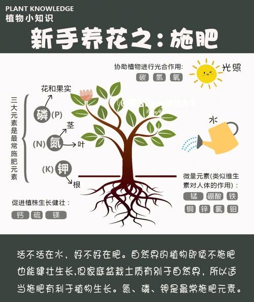 春天到了该给植物施肥了肥料怎么用学会施肥攻略 范文模稿