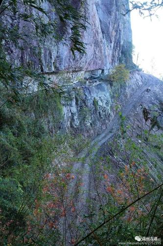 仙居县方岩背穿越高山草原景色迷人路漫漫兮上下求道在何方 范文模稿