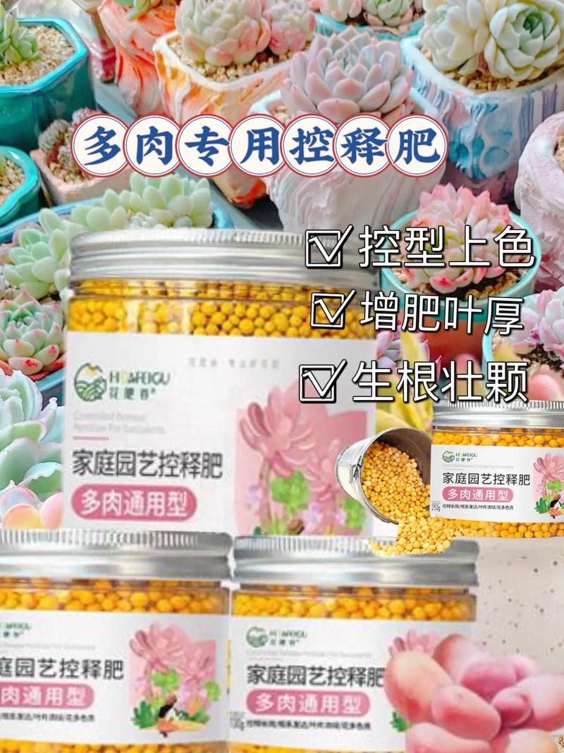 多肉用什么肥料最好 范文模稿