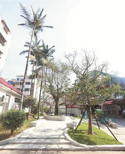 泉州古城绿植行动收成效 小绿地里的微幸福 范文模稿 泉州古城绿植行动收成效 小绿地里的微幸福 范文模稿