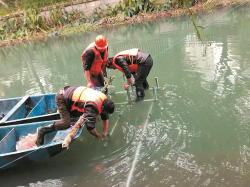 新塘河生态浮岛上的水草频遭毒手 养护单位出招制服凶手 范文模稿