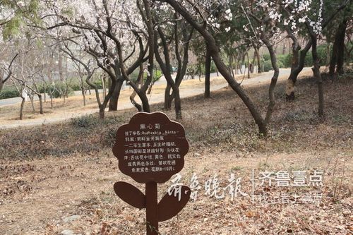 新郑公园花木有了身份证 遛娃轻松叫上名字 范文模稿 新郑公园花木有了身份证 遛娃轻松叫上名字 范文模稿