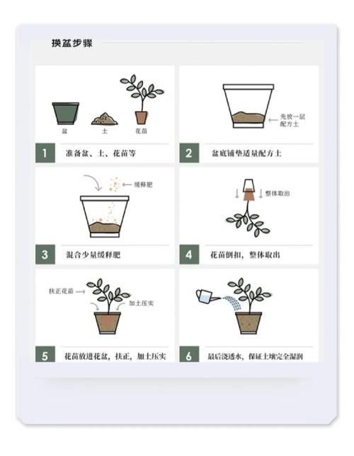 春暖后换盆9大注意事项新买的植物又如何换盆 范文模稿