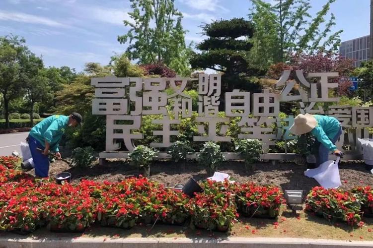为公园洗脸给树木理发闵行绿化为复工复产营造良好环境 范文模稿