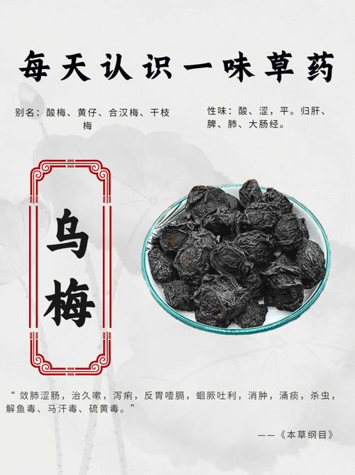 神奇的乌梅关于乌梅的栽培技术这些实用小技巧你知道吗 范文模稿