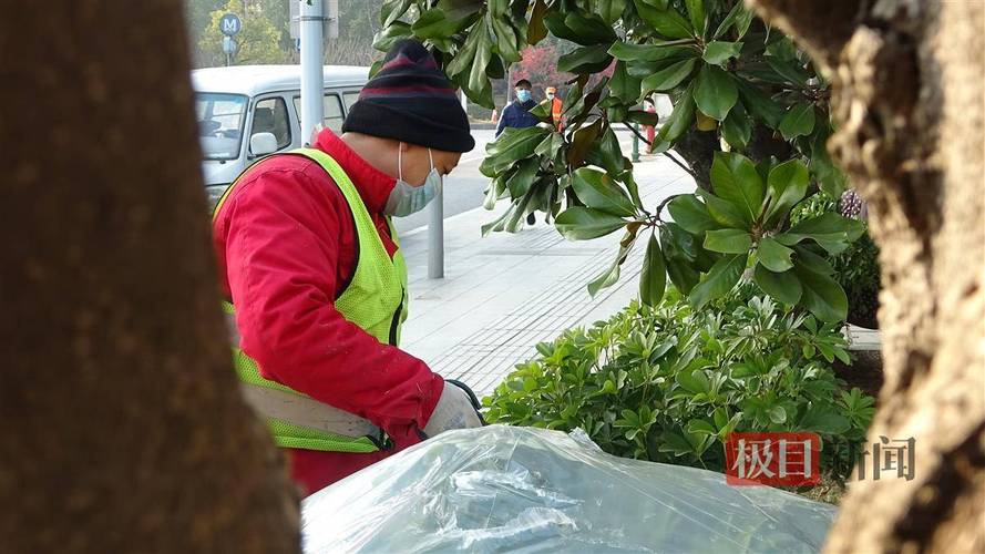 多种冬日养护套餐打造武汉东湖别样景致 范文模稿