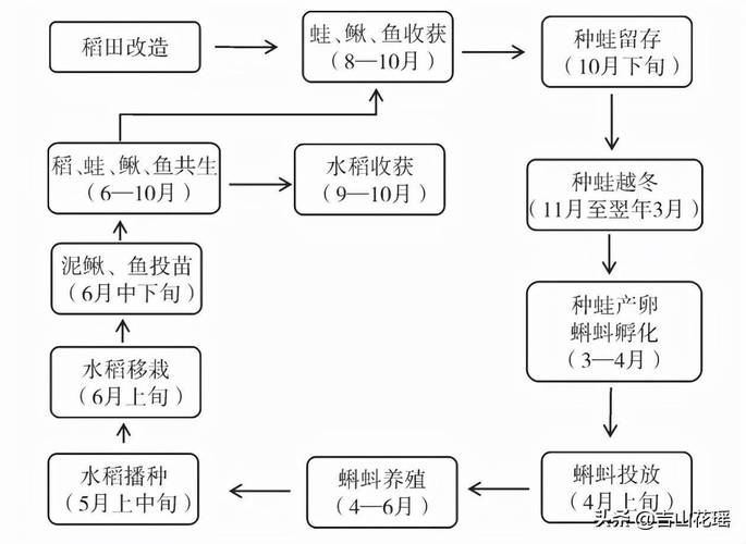 最靠谱的立体种植种养模式附9个案例 范文模稿