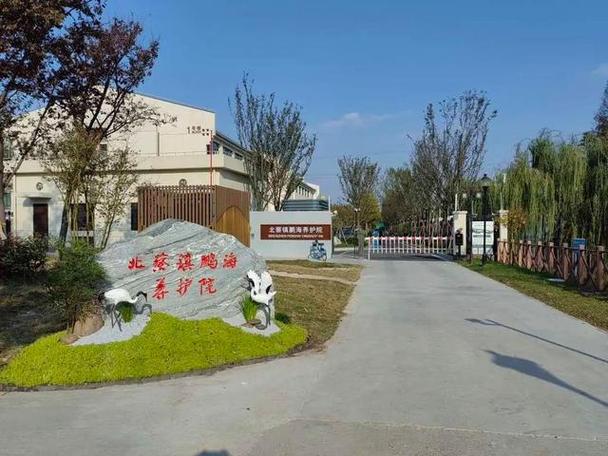建在公园里这家养老机构开始试运营 范文模稿