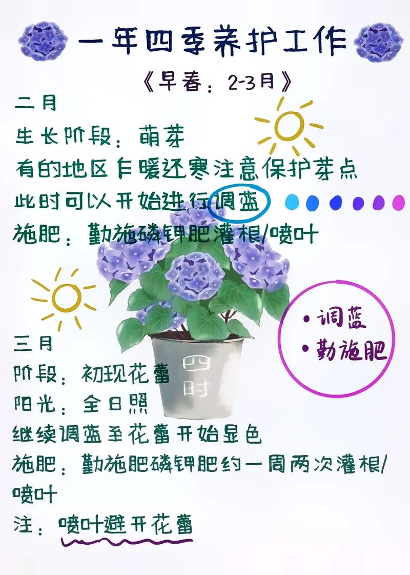 绣球花的养护重点注意这些点也不是很难养 范文模稿