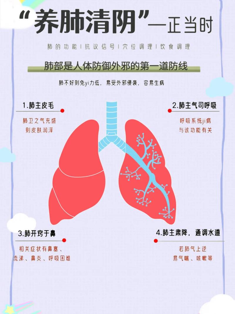 护肺部健康应做好哪些事多吃4物远离3物或可滋阴润肺 范文模稿
