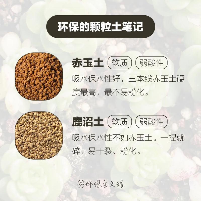 多肉用什么土好养好多肉的几个基本条件 范文模稿