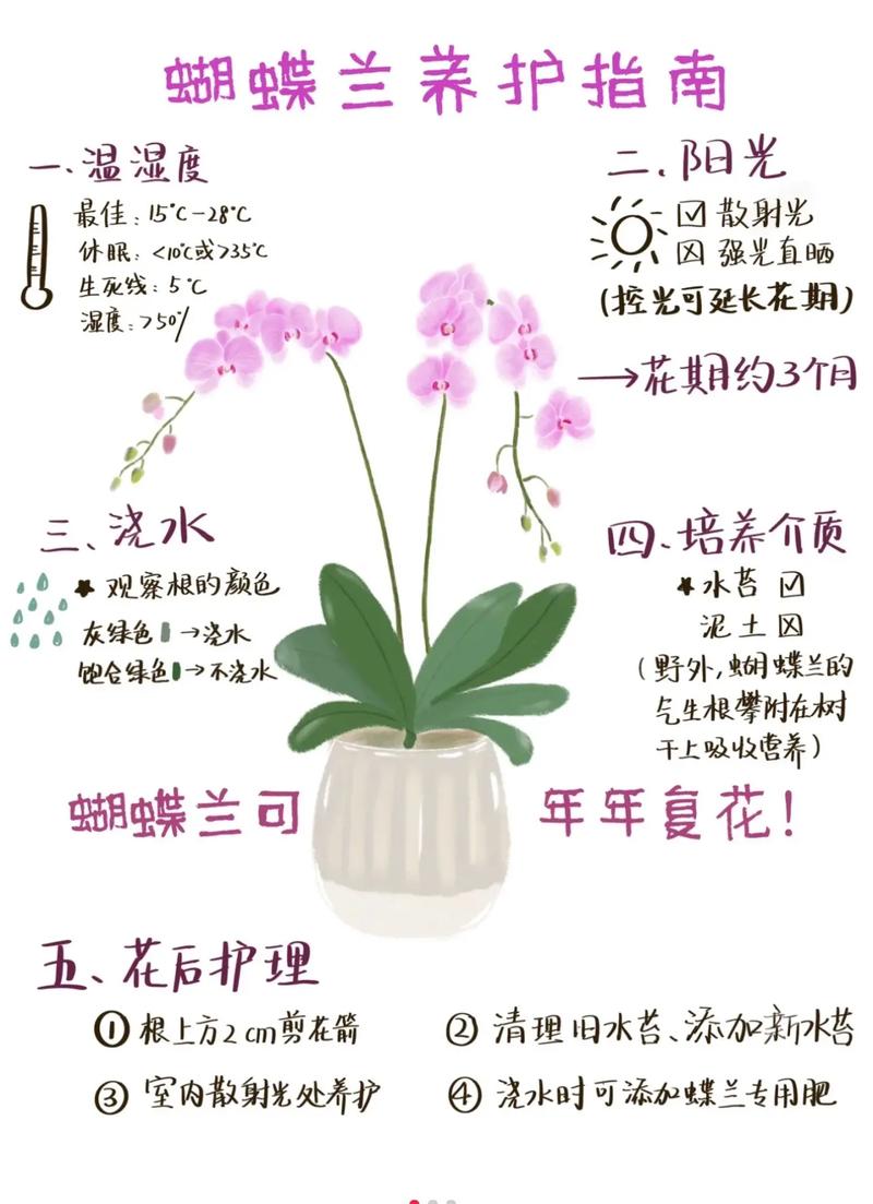 从兰花的习性看养护技巧 范文模稿