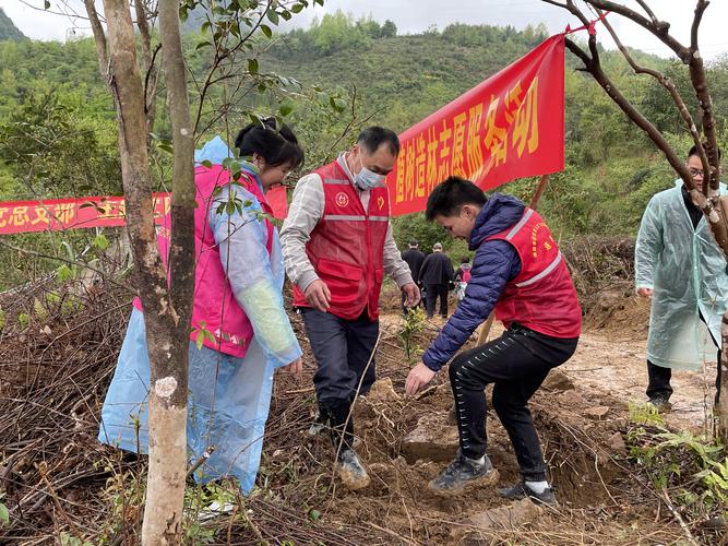 我是雷锋彩霞社区开展栽种新绿 共植希望植树志愿服务活动 范文模稿