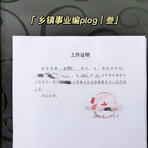 30岁建筑师的绝地反击上岸乡镇事业编 范文模稿