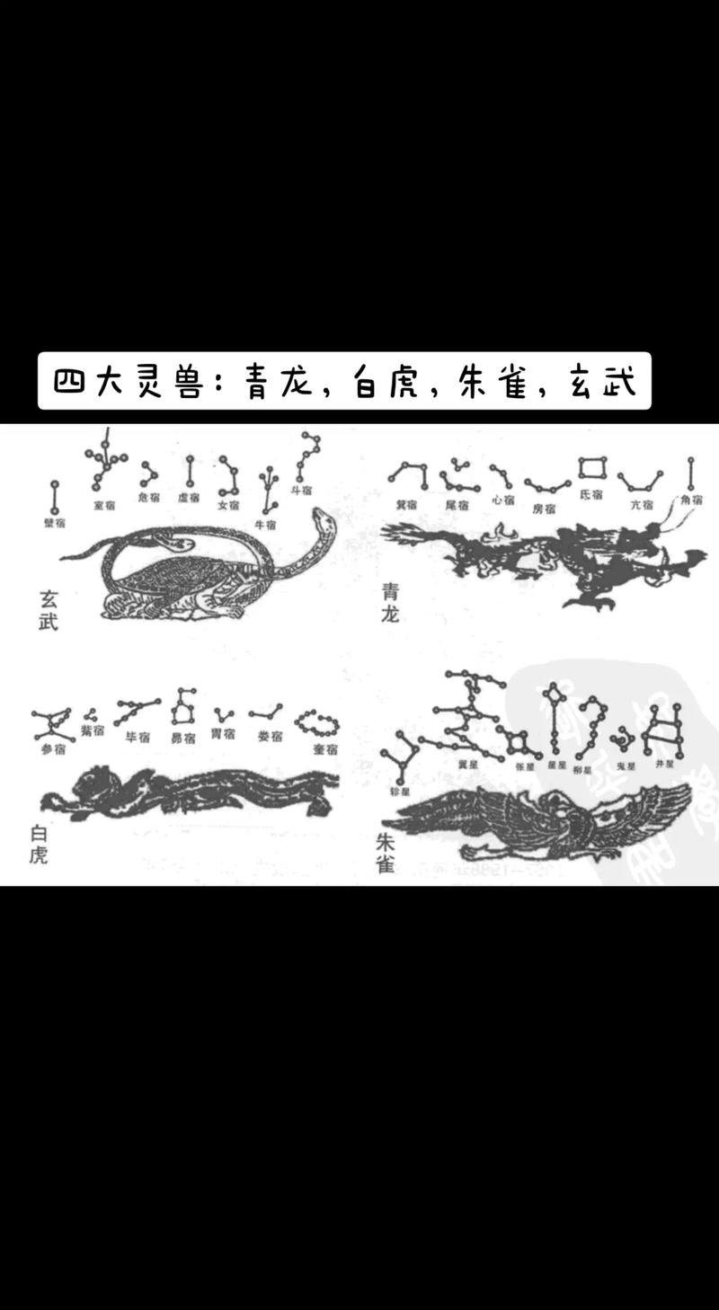 地理学中的风水四势青龙白虎朱雀玄武古人称之为天之四灵。 范文模稿