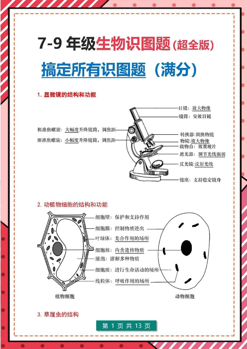 初中生物全册识图题专项练习及答案期末复习必备 范文模稿