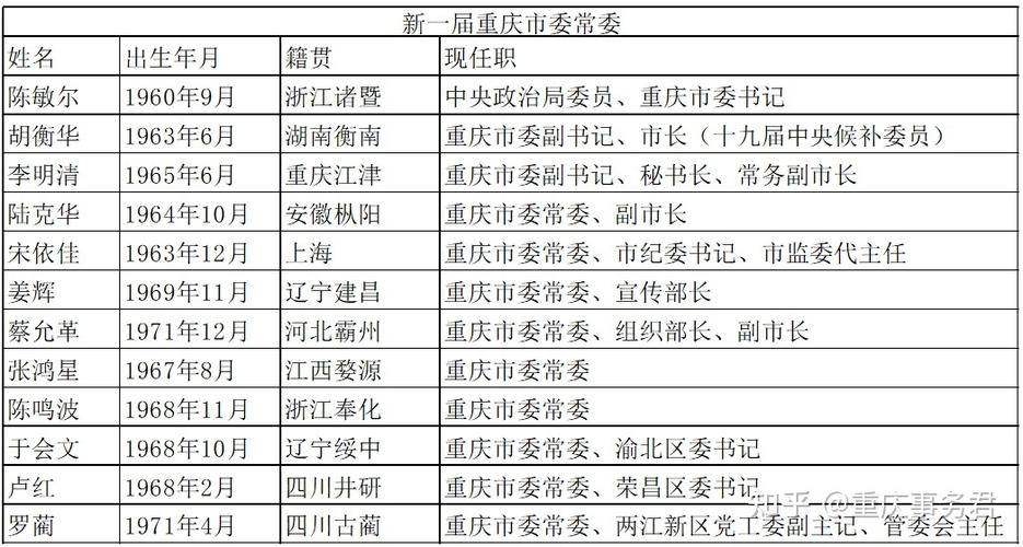 重庆市政府领导班子重大调整一半新面孔 范文模稿