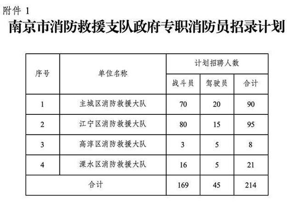 南京市消防救援支队政府专职消防员招聘公告 范文模稿