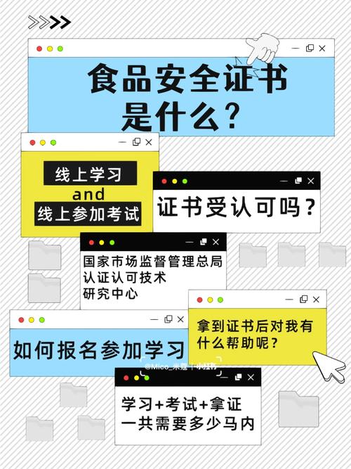 怎么报考食品安全总监证书报考流程费用是考试难度大吗 范文模稿