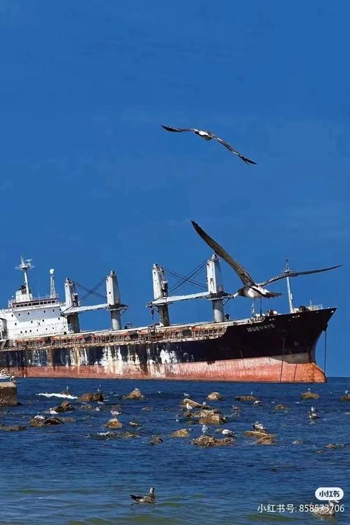 威海船舶装修,打造海洋工程之美 建筑知识