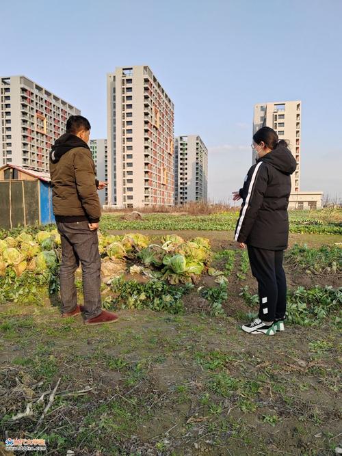 室外装修调查,探寻美好家园的秘密武器 建筑知识