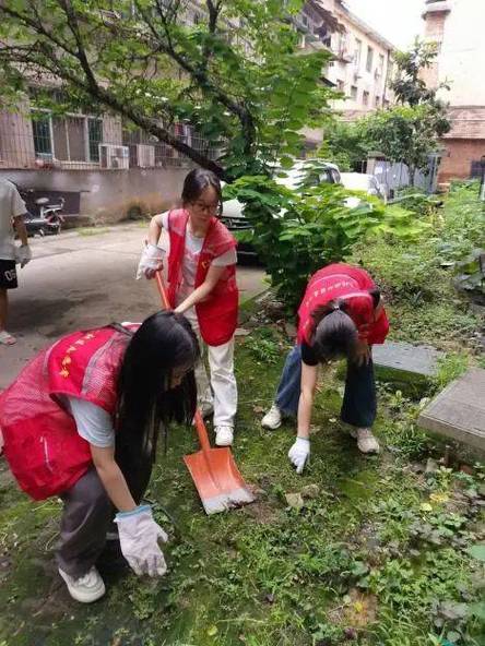 眉山物业装修协议,守护家园，共建和谐宜居环境 建筑知识